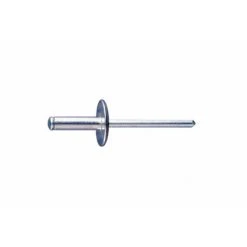BOITE INDEX DE 250-RIVETS TÊTE LARGE FILETAGE M Ø 5 MM L 14 MM -RECA4814