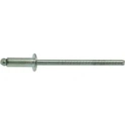 100 RIVETS INOX TP 4.8X10 -23889100UNIVERSEL